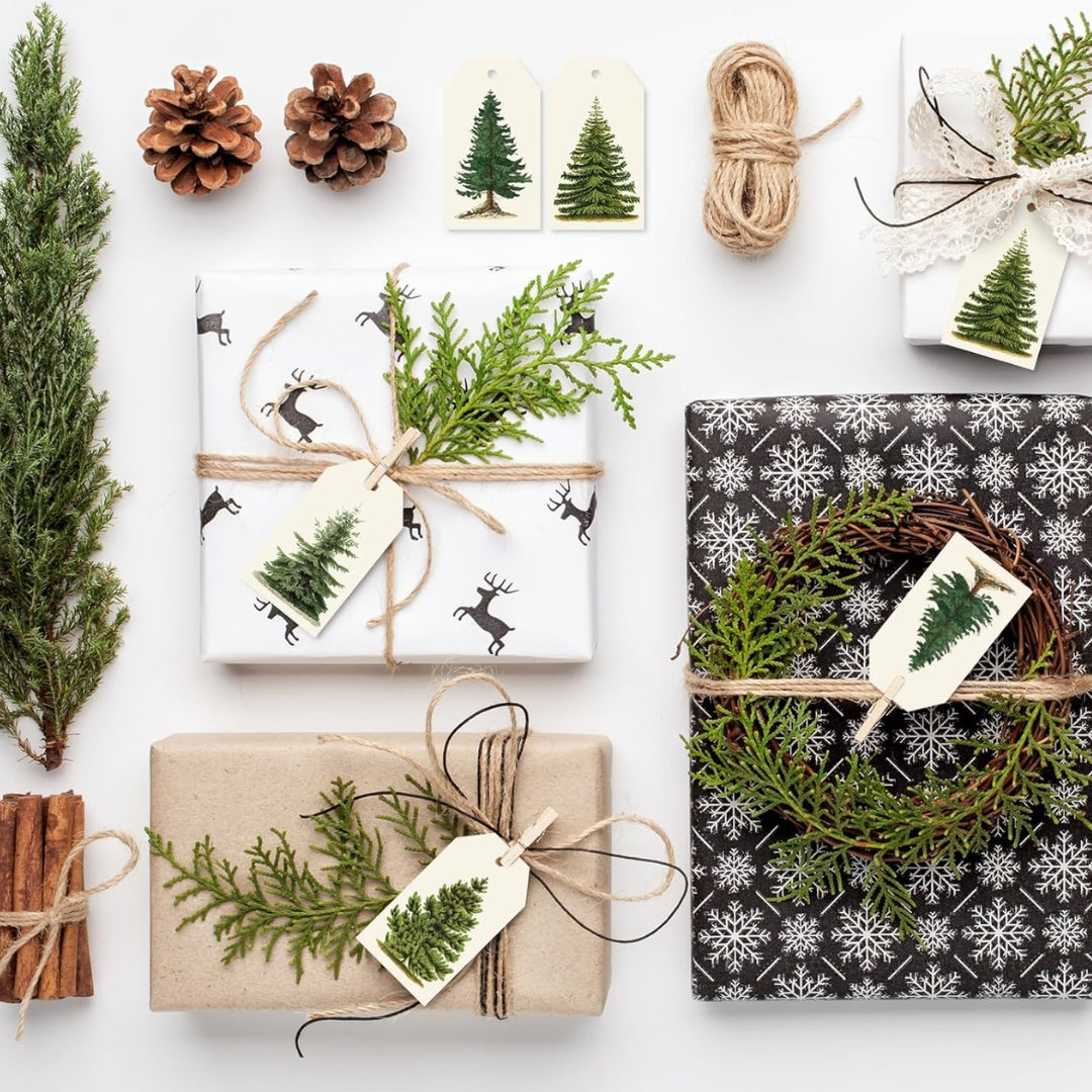 Set de 4 Etiquetas Colgantes de Pinos Acuarela